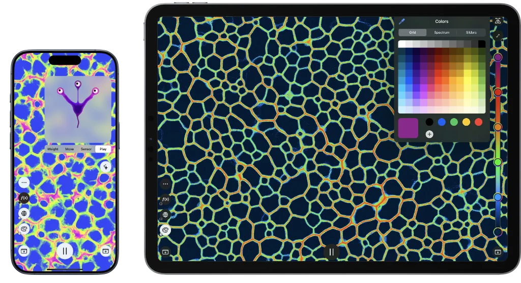 Physarum agent-based growth preview