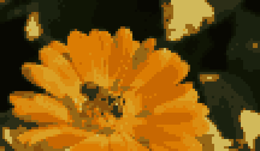 Orange flower reduced to twelve extracted colours